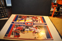 montreal canadiens hockey wall calendar nhl 2003 matt naslund jo