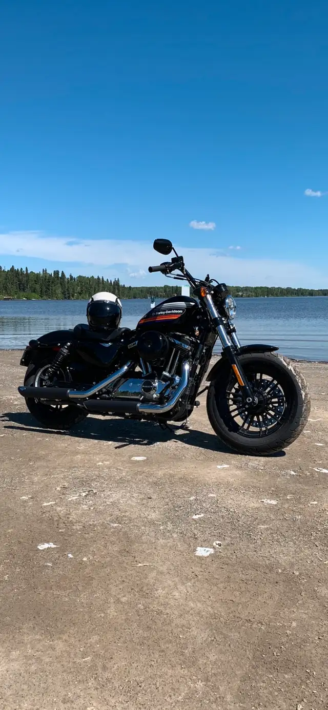 sportster in Street, Cruisers & Choppers in Winnipeg - Image 6