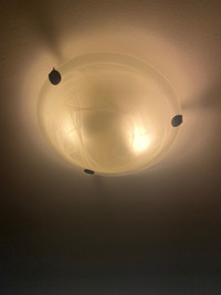 2 bulb A19 Glass and Chrome Ceiling Light Fixture
