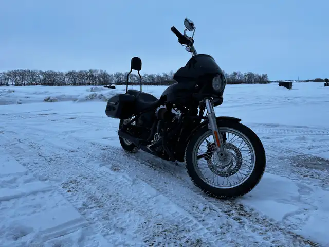 2020 Harley Davidson FXST in Street, Cruisers & Choppers in Saskatoon - Image 6