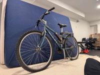 GIANT mountain bike - ~50cm frame.