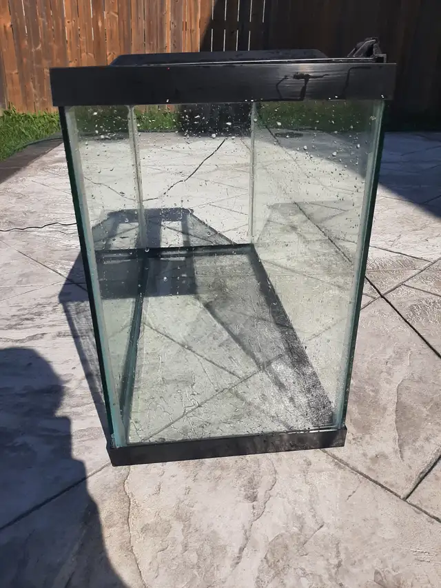 30 Gallon Fish Tank | Fish for Rehoming | London | Free local ...