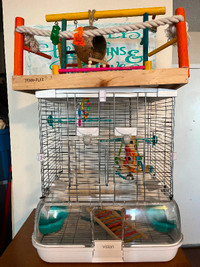 Bird cage and accessories for sale.
