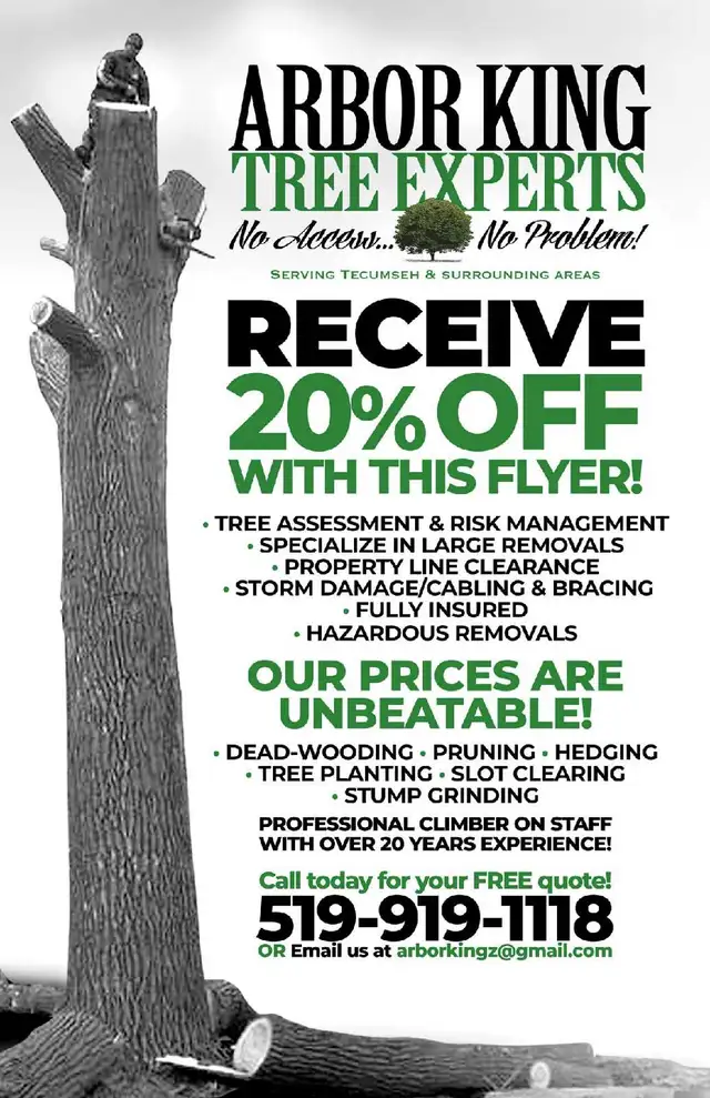 FALL SPECIALS ARE ON NOW63804736309377121