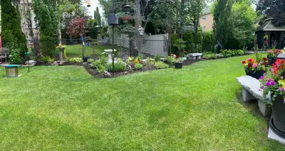 yard help needed, View more