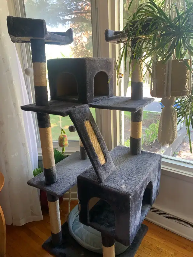 arbre pour chats ou chaton in Accessories in Longueuil / South Shore - Image 3