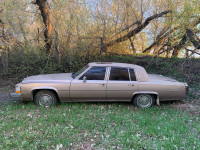 1981 Cadillac 