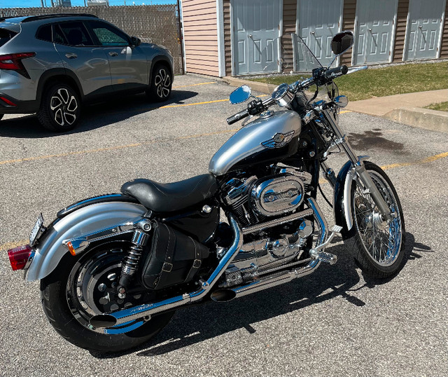 2003 Harley Davidson sportster 1200 custom 100ie dans Routières  à Ouest de l’Île