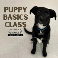 Puppy Basics Classes
