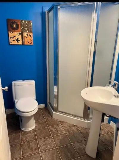 House for rent