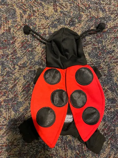Small dog ladybug costume , View more
