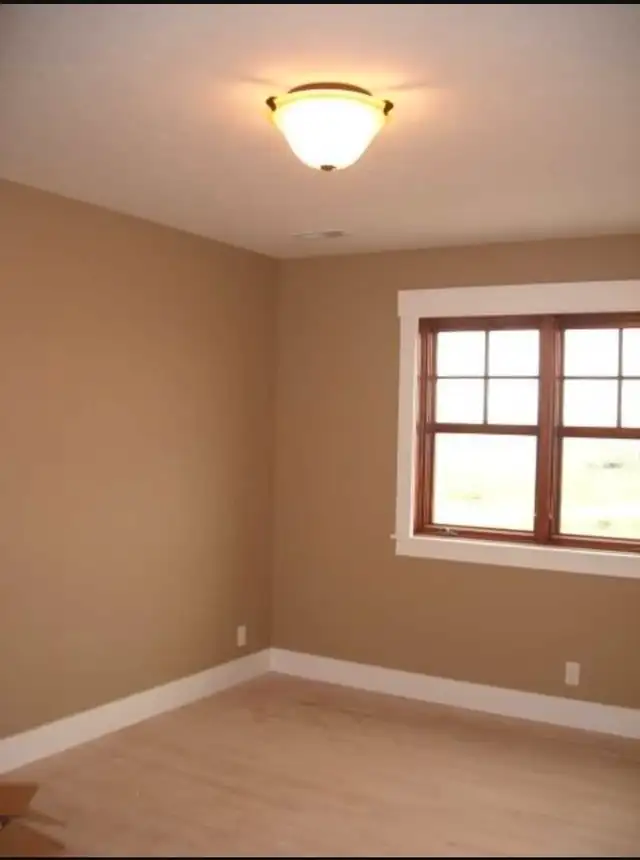 PROFESSIONAL OTTAWA PAINTER ! 613-262-3721628637176455691226