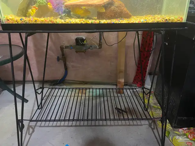 Fish Tank / Aquarium with stand & accessories. in Fish for Rehoming in Oshawa / Durham Region - Image 7
