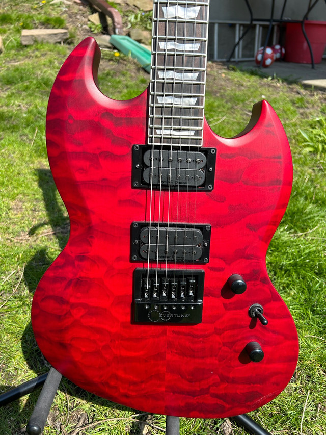 ESP LTD Viper 1000 Evertune in Guitars in Kingston - Image 4