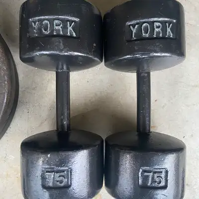 ISO - Roundhead, Globe and Bun Style Dumbbells, View more