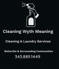 Cleaning Wyth Meaning