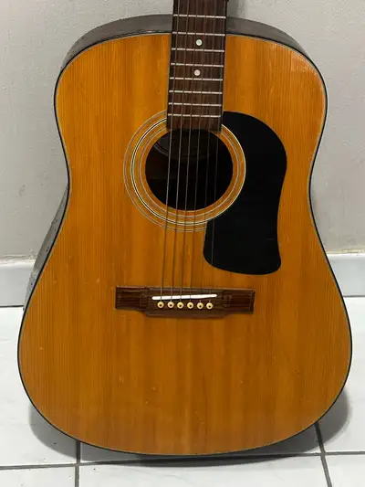 Washburn D10 Guitar, View more