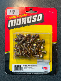 Moroso wheel rim screws
