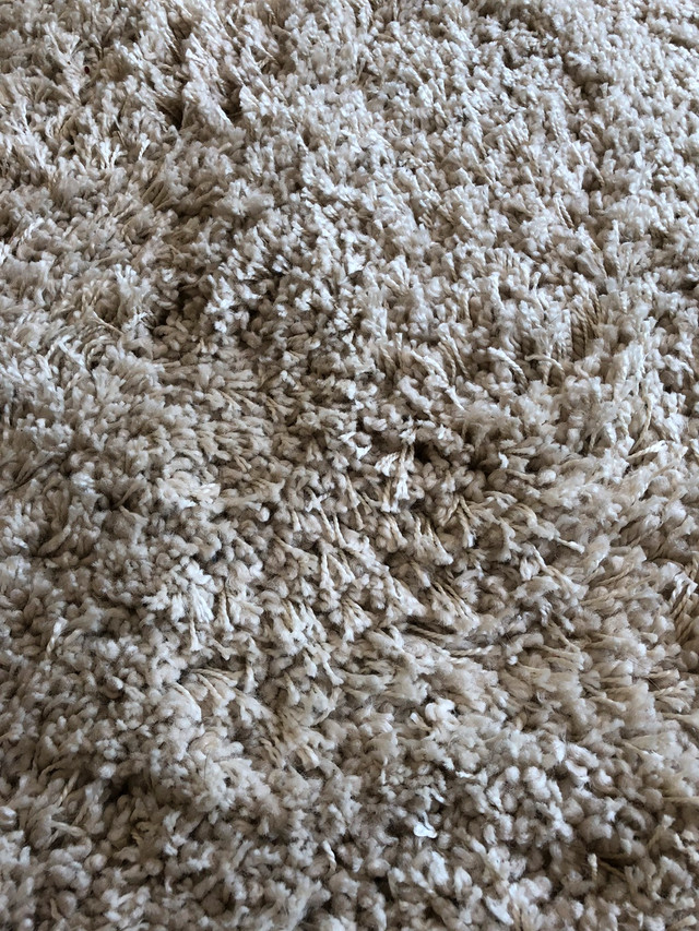 hometrends Deluxe Cream Shag Rug 5.3 x 7 feet Rugs, Carpets & Runners