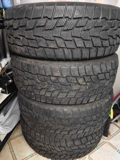 These are a set of four Evolution Winter tires, size 225/55R18, perfect for providing excellent trac...