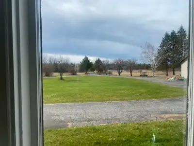 Executive bungalow basement room on large acreage. Beautiful location. All inclusive first last empl...