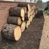 Free Spruce Firwood rounds 