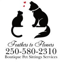 House, Pet and Plant sitting, dog walking services