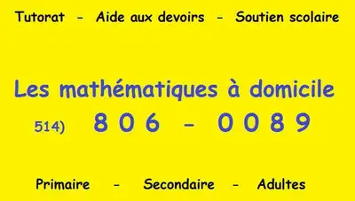 COURS PRIVÉS ET TUTORAT EN LIGNE ET EN PRÉSENTIE, View more
