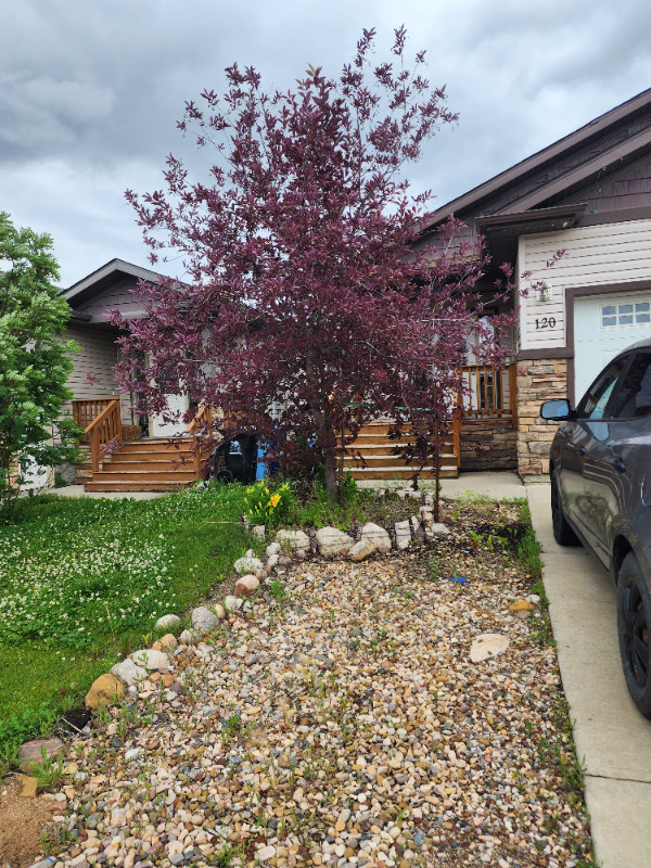 2 bedroom, 1 bathroom basement for rent Long Term Rentals Fort