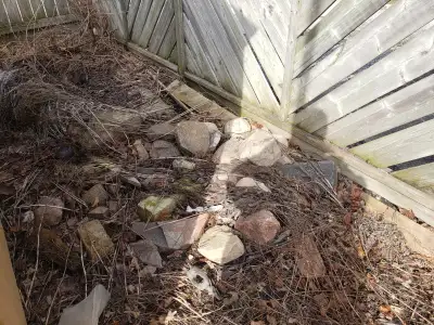 Garden Rocks Free, View more
