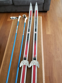 Cross Country Skis 