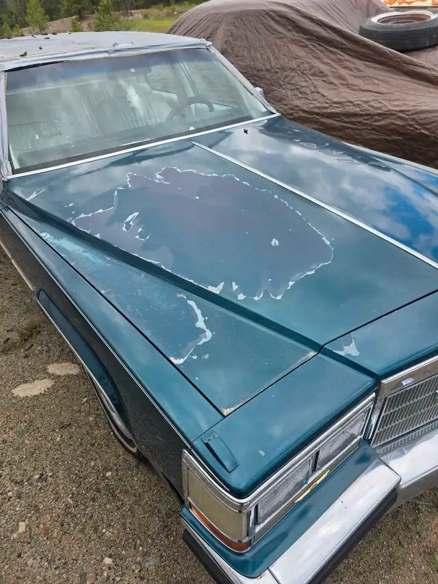 1984 Cadillac Fleetwood *Low KM* in Classic Cars in Kelowna - Image 3