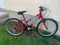 Supercycle youth mountain bike