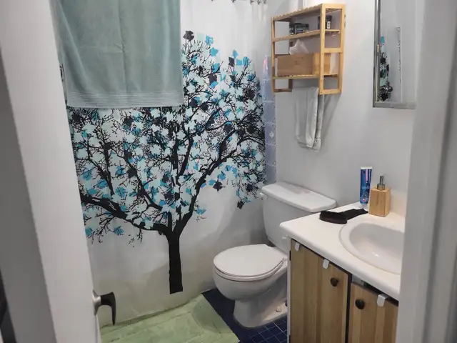 Logement 3 1/2 St-Jean-Chrysostome in Long Term Rentals in Lévis - Image 10