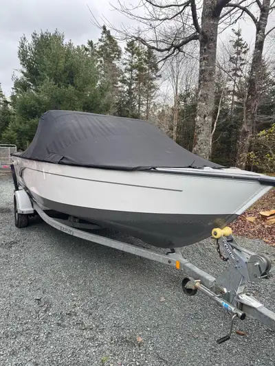 Priced to sell before it goes into winter storage! 115 Murcury Pro Max Galvanized trailer Full Bimin...