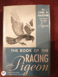 Rare Find The BOOK of RACING PIGEON Naether Ships worldwide.