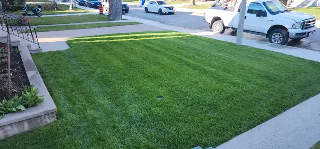 Fresh sod for your lawn with Earthscape Solutions!63234988113155123