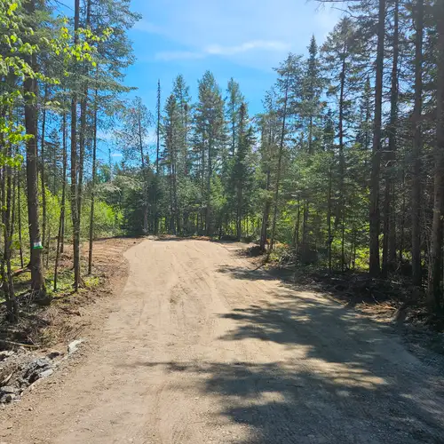 3 TERRAINS SUR UNE ROUTE MUNICIPALE, ÉLECTRICITÉ ET INTERNET DISPONIBLE EN FAÇADE, BOISÉS MATURES, B...