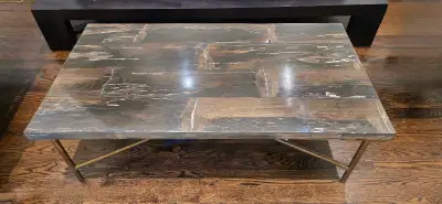 ELTE Petrified Wood and Bronze Coffee Table, View more