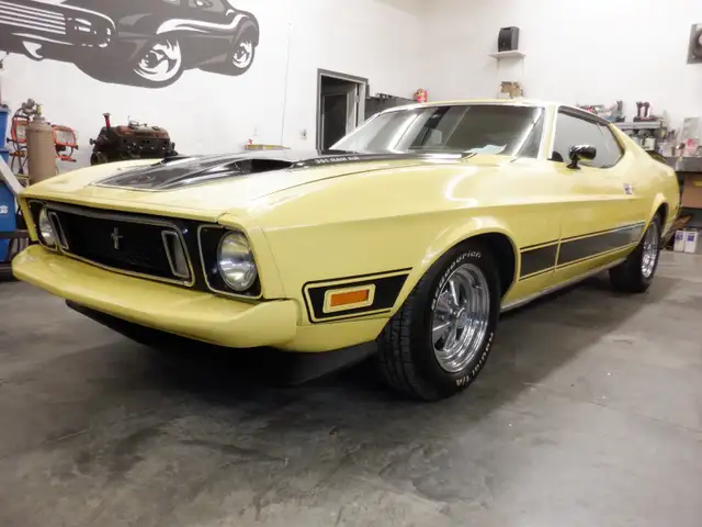 LAST CHANCE 1973 Ford Mach One Mustang /351 Cleveland in Classic Cars in Terrace - Image 11