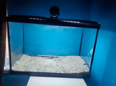 20 Gallon tank complete and  ready to go, View more