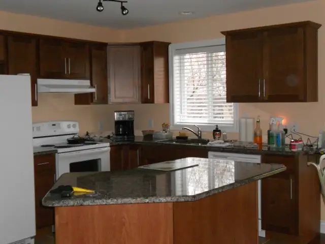 LOOKING FOR A PAINTER YOU CAN TRUST ?582838694530273283