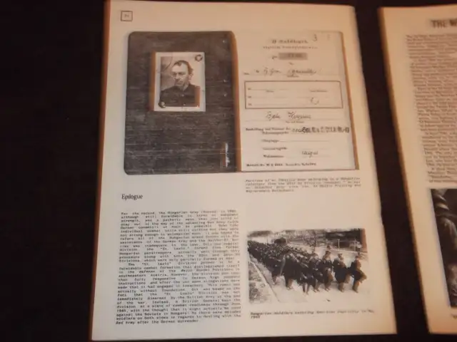Hungarian and Italian Volunteers Waffen SS Books in Non-fiction in Mississauga / Peel Region - Image 6