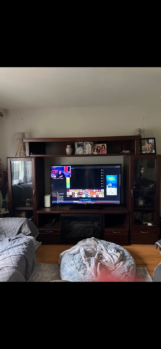 Entertainment Unit in TV Tables & Entertainment Units in Kitchener / Waterloo - Image 2