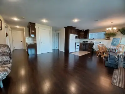 Excellent room in walkout basement of southside for rent