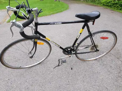 Supercycle medalist L.W. 12 speed road bike, View more
