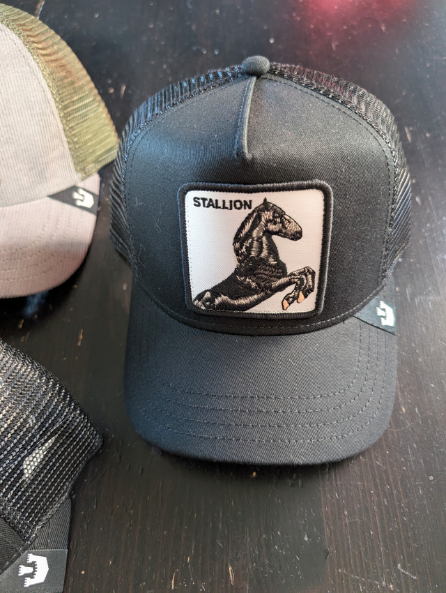 Goorin Bros Trucker Hats - The Farm Collection - NEW in Men's in Edmonton - Image 4