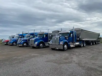 AZ Live Bottom Driver, View more