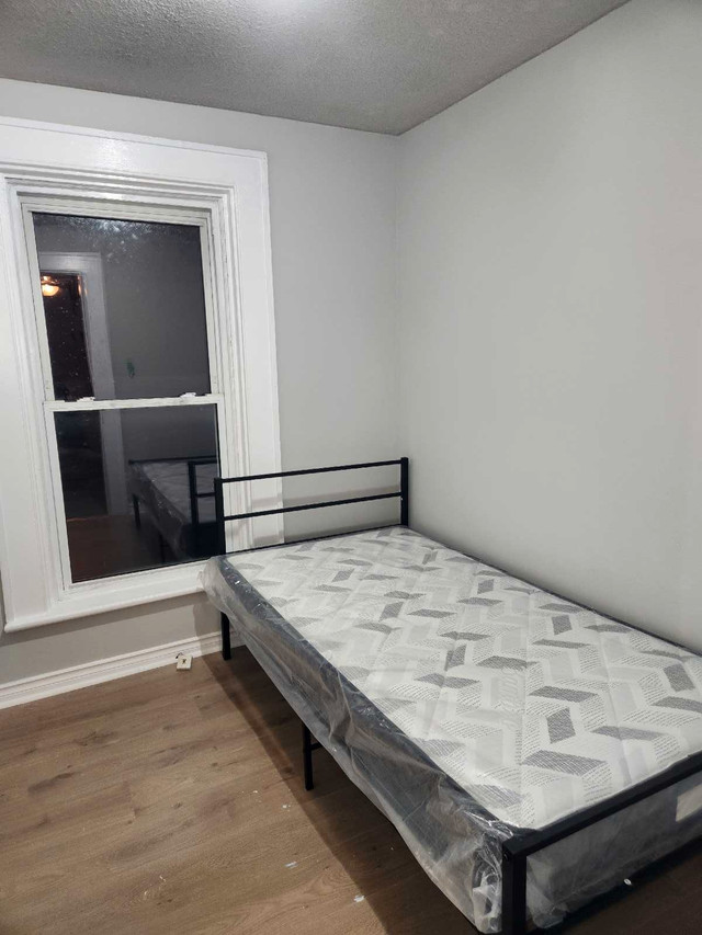 Room for female students in Room Rentals & Roommates in Belleville