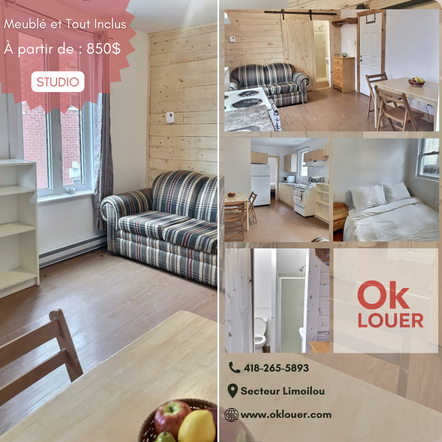 STUDIO TOUT INCLUS-MEUBLÉ, LIMOILOU